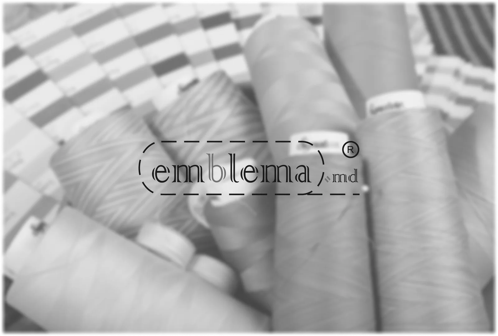 Coperta proiectului Emblema.global